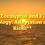 **Eucalyptus and Fire Ecology: Adaptation and Risks**