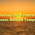 **Exploring the Fermentation Process Behind Tempe**