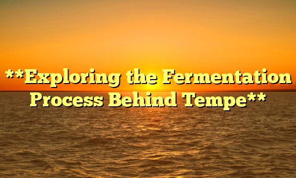 **Exploring the Fermentation Process Behind Tempe**