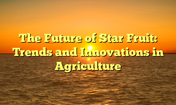 The Future of Star Fruit: Trends and Innovations in Agriculture